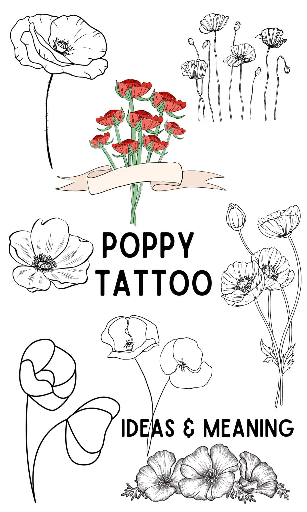 poppy tattoo ideas and meanings with line art designs