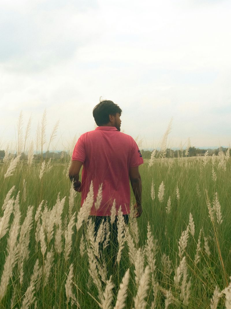 The Disappearing Act