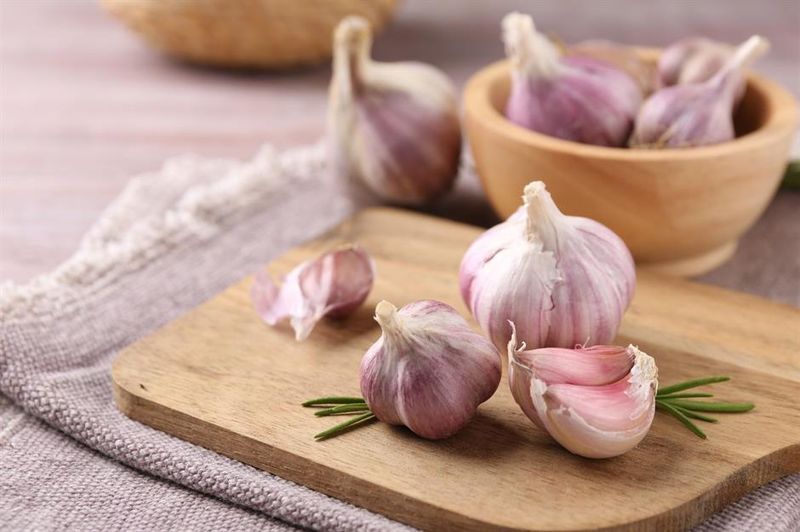 Garlic