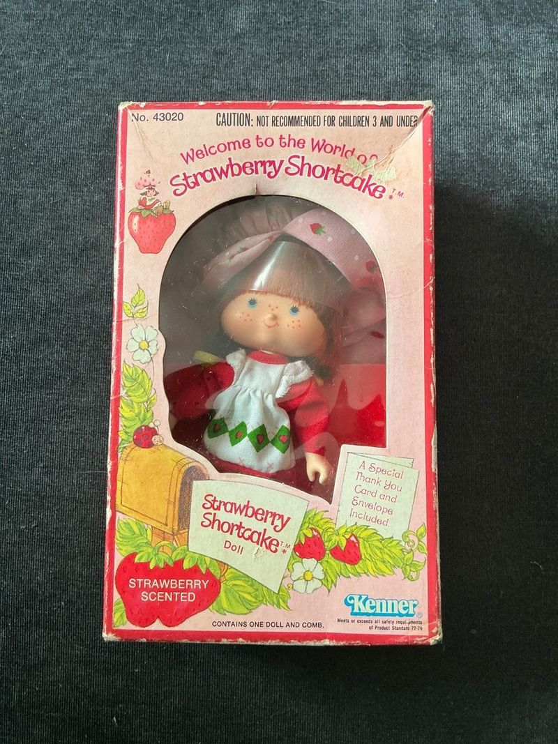 Strawberry Shortcake Dolls and Playsets