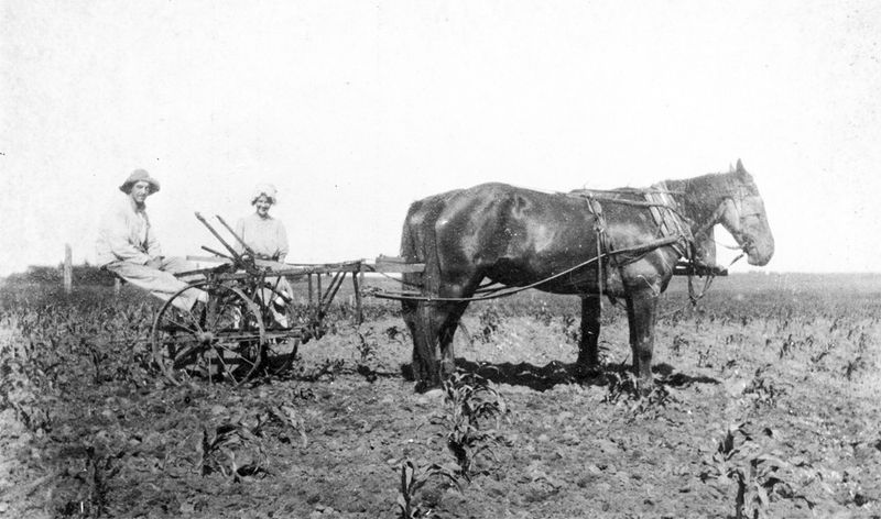 Farmers Working the Great Plains