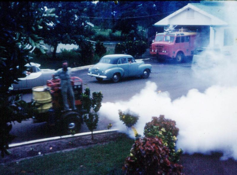 Using DDT as a Common Pesticide