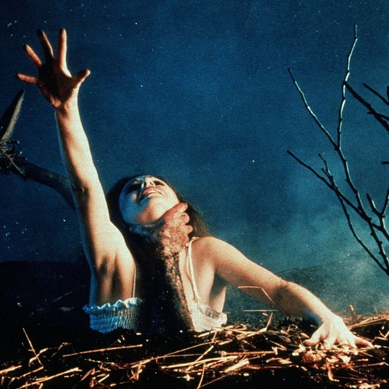 The Evil Dead (1981)