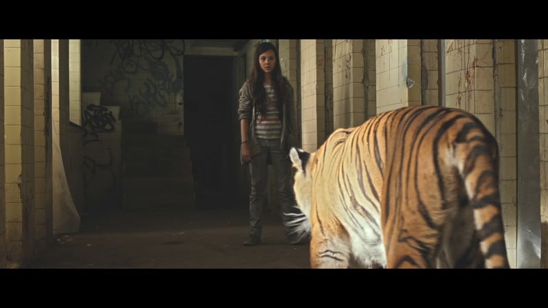 Tigers Are Not Afraid (2017)