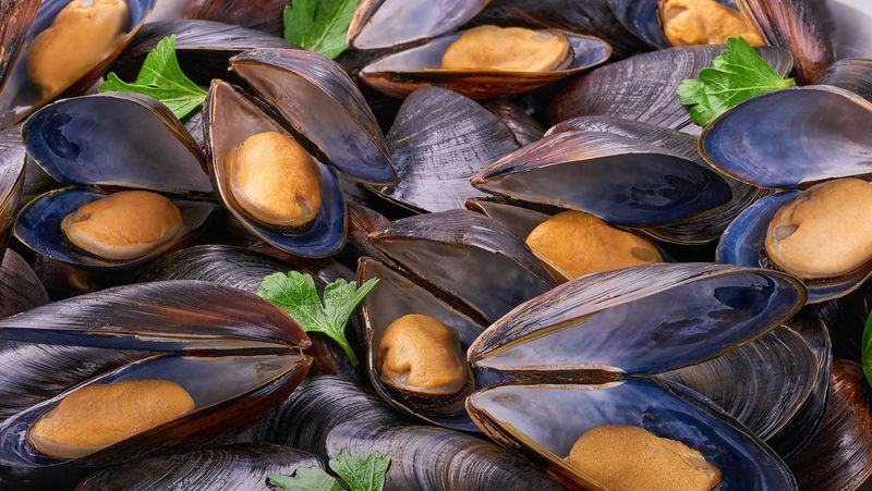 Mussels and the Handling Concern You Should Know