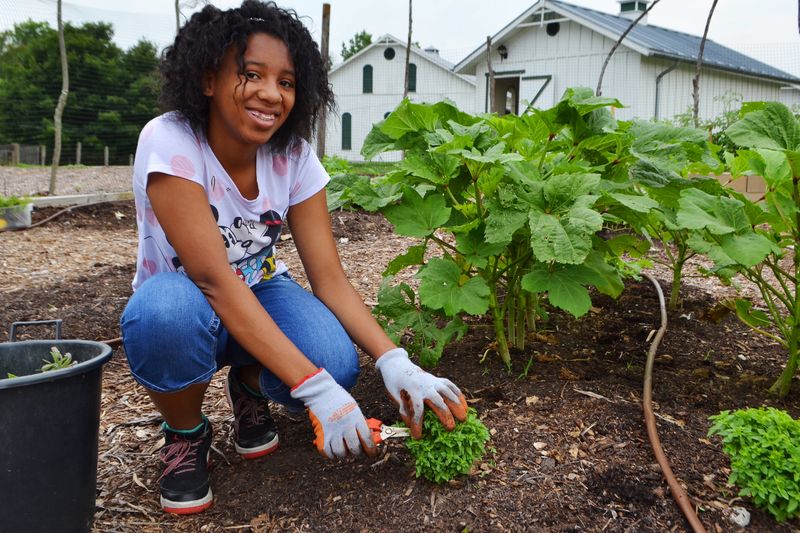 Gardening and Growing Food