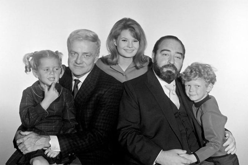 Family Affair (1966–1971)