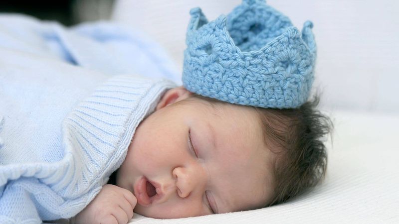 William: Royal, Reliable, and Always Relevant