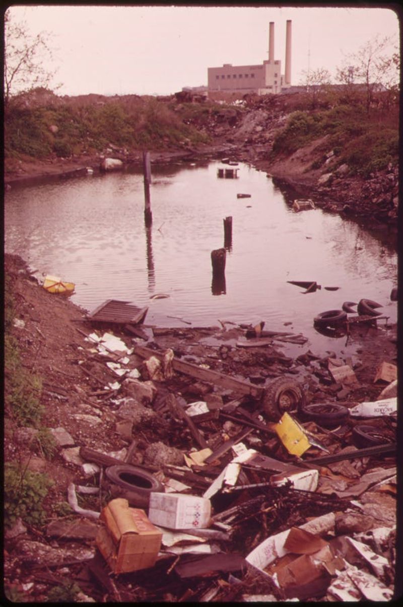 Dumping Waste Into Rivers and Streams