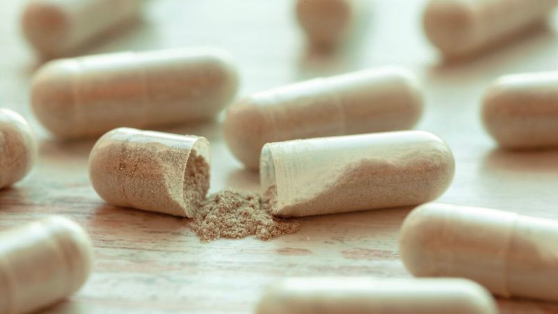 Shark Cartilage Could Cure Cancer