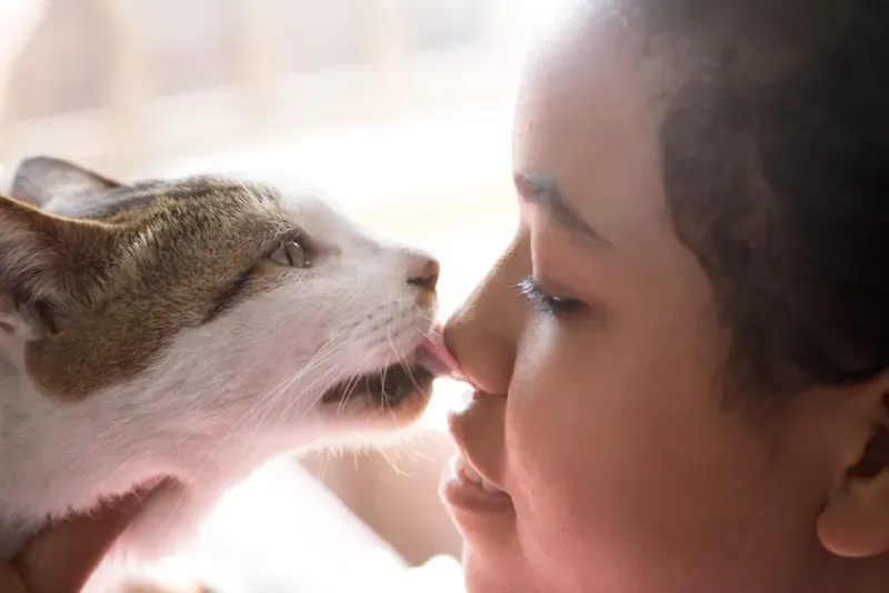 Cat Got Your Tongue?