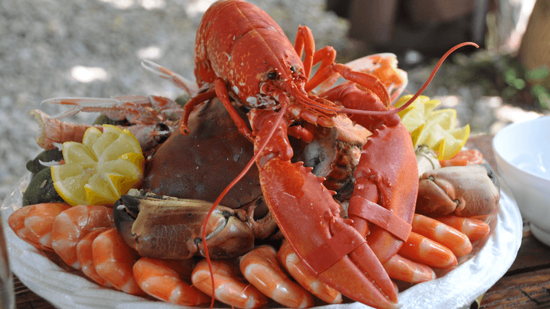 Shellfish