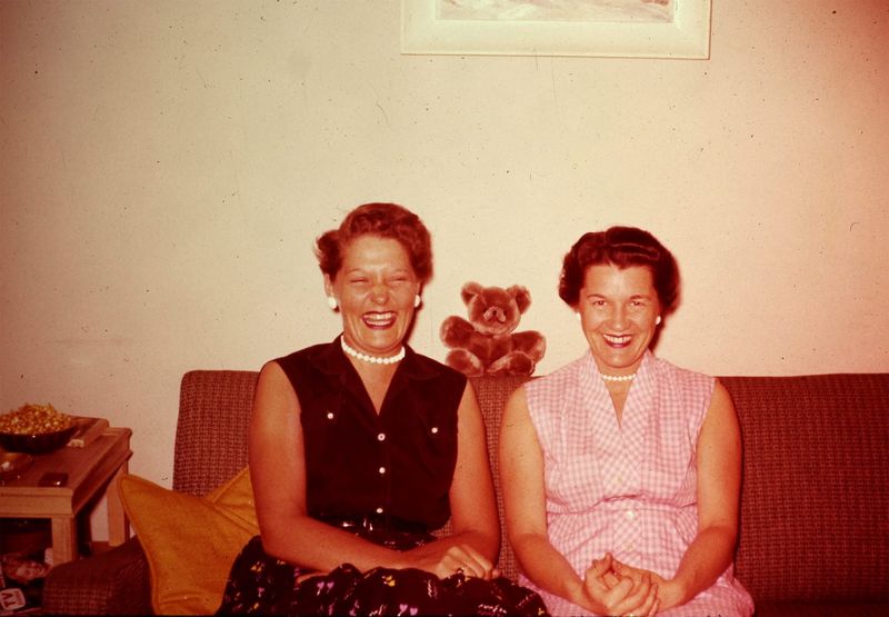 A Secret Love (2020)