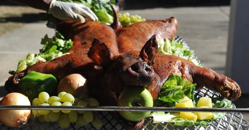 Cochon de Lait