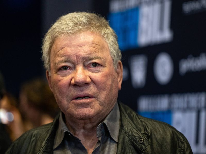 A Fan Accidentally Insults a Celebrity's Latest Work