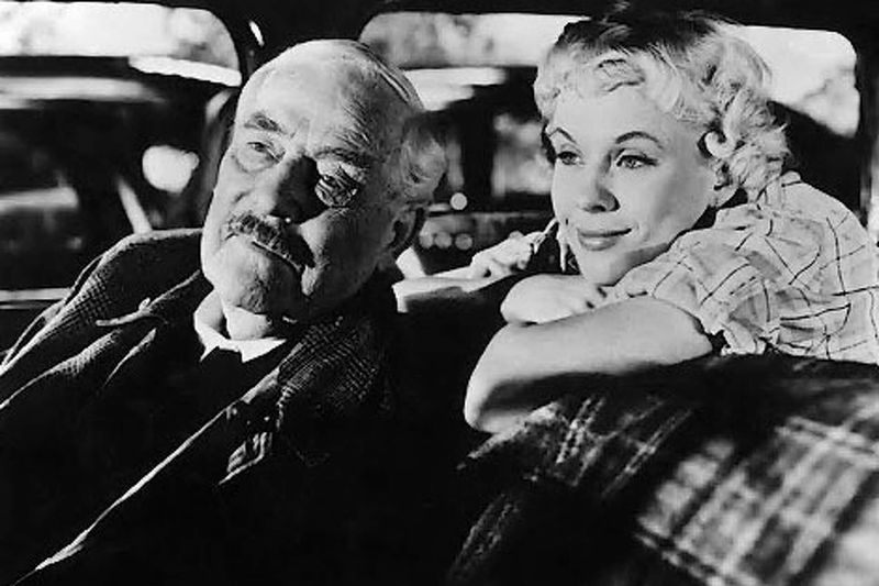 Wild Strawberries