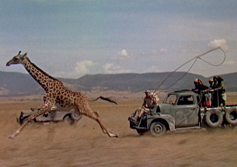 Hatari! (1962)