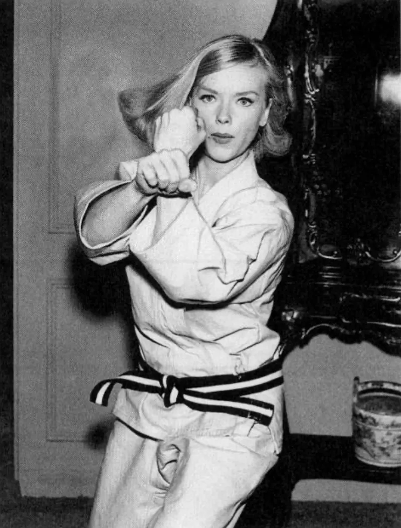 Honey West (1965–1966)