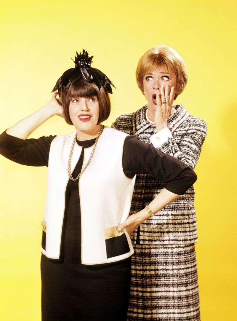 The Mothers-In-Law (1967–1969)