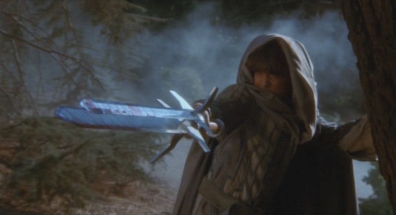 The Sword and the Sorcerer (1982)