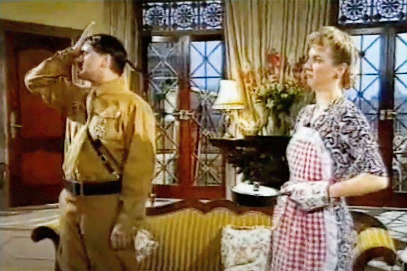 Heil Honey I'm Home! (1990)
