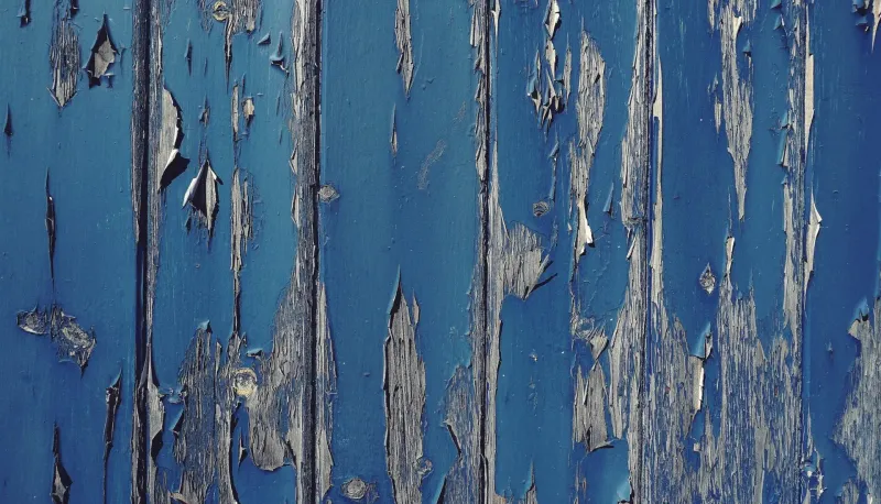 Lead-Based Paint