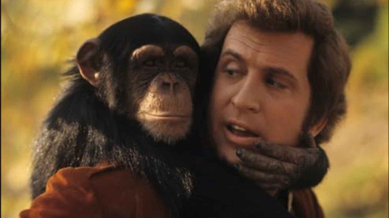 Me and the Chimp (1972)