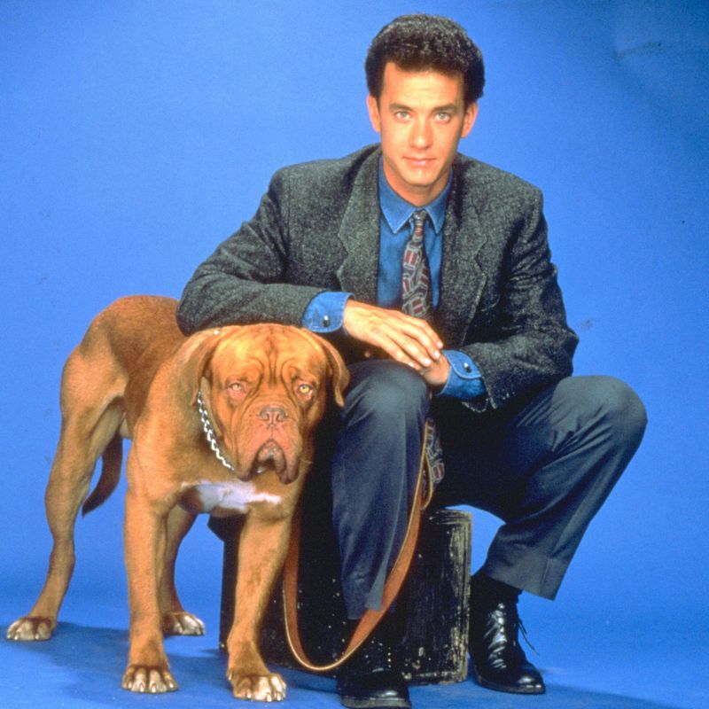 1989: Turner & Hooch vs. K-9