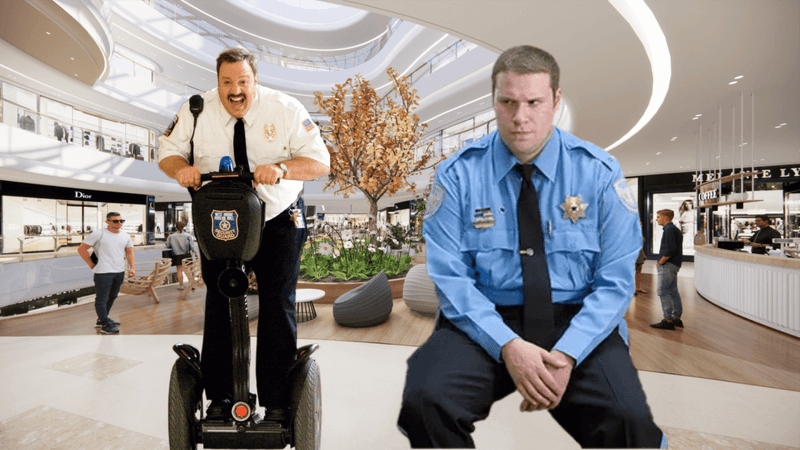 2009: Paul Blart Mall Cop vs. Observe and Report