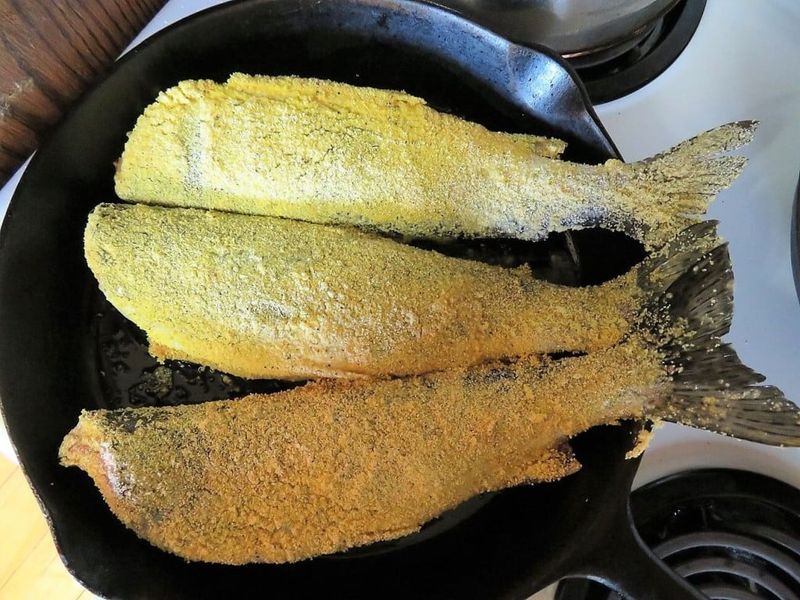 Fried Trout
