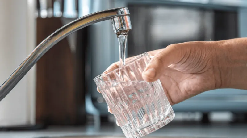 Tap Water and Buffet Ice