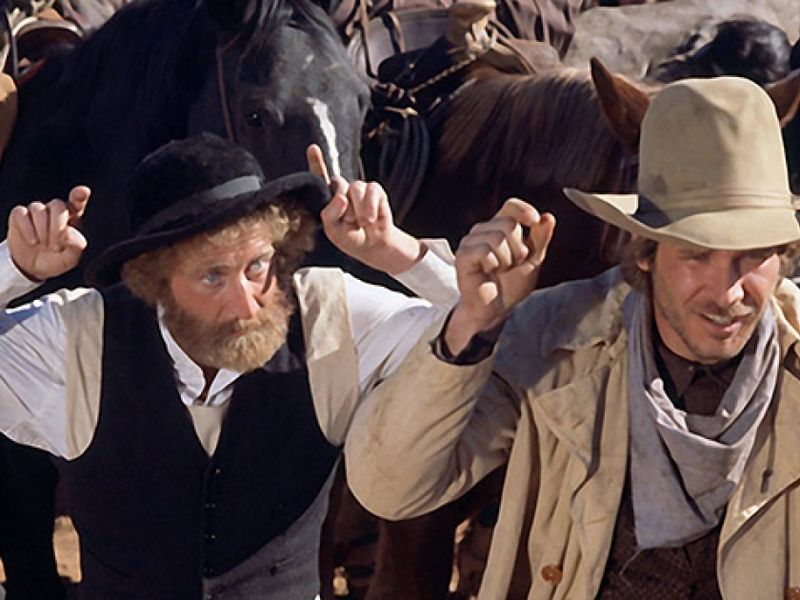 The Frisco Kid (1979)