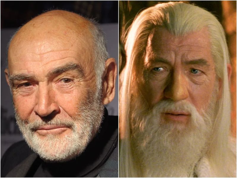 Gandalf — The Lord of the Rings Trilogy (2001–2003)