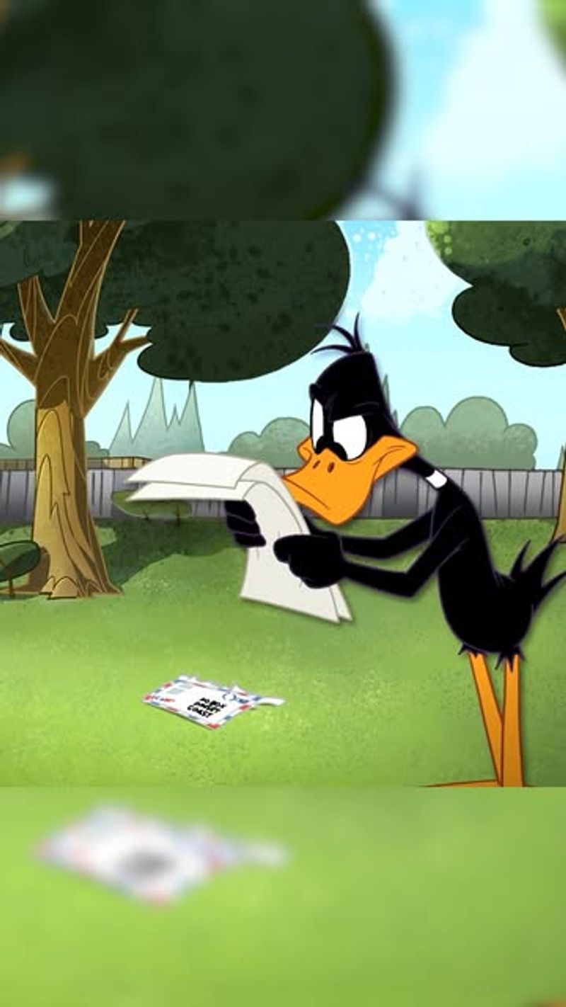 Daffy's 48 States Geography Joke