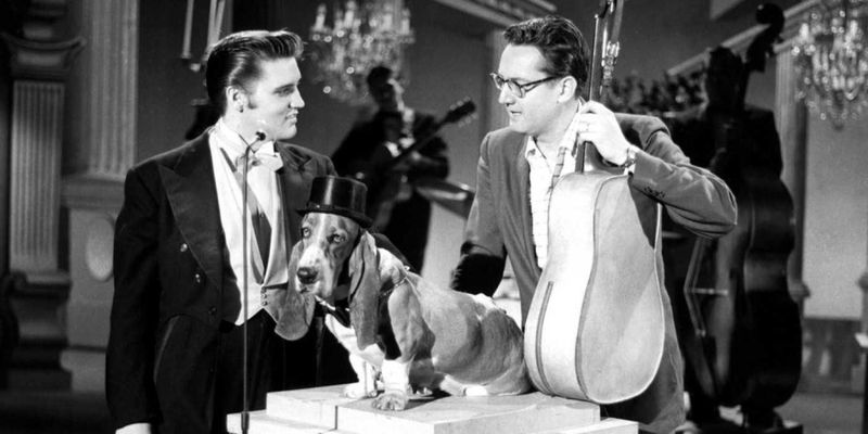 Steve Allen