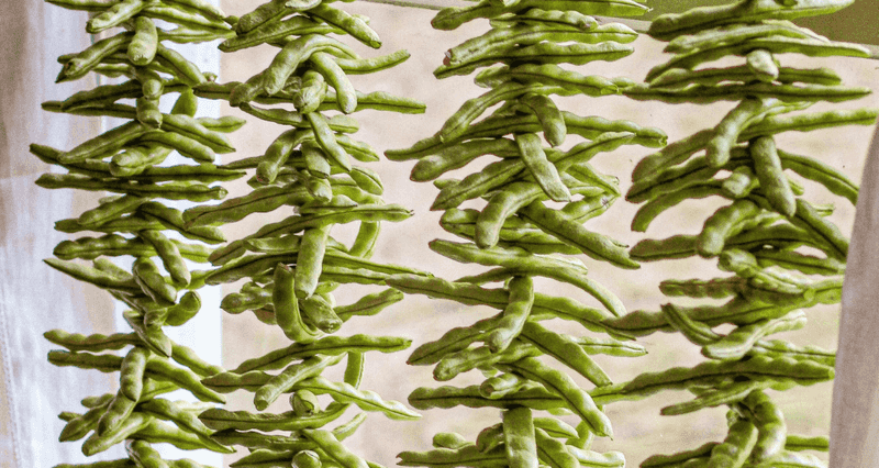 Leather Britches (Shuck Beans)