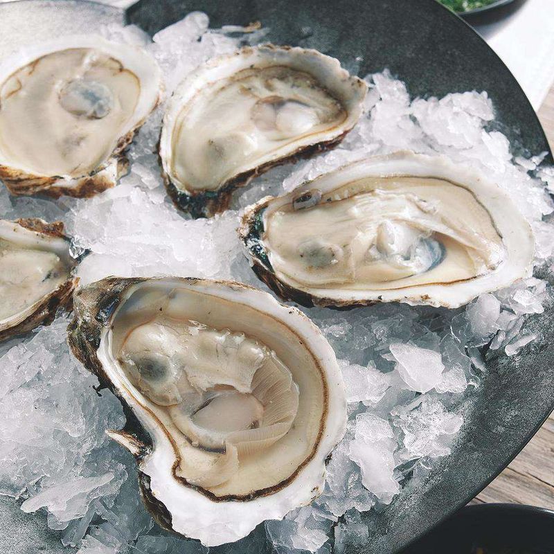 Oysters on the Half Shell