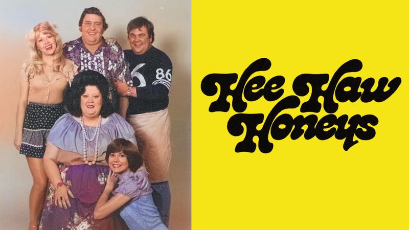 Hee Haw Honeys (1978–1979)