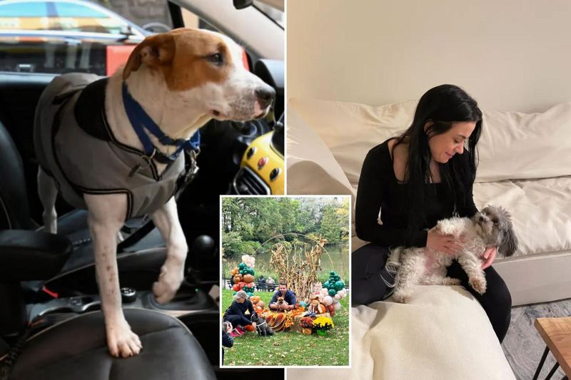 Delegating Pet Care Responsibilities to Dedicated Staff