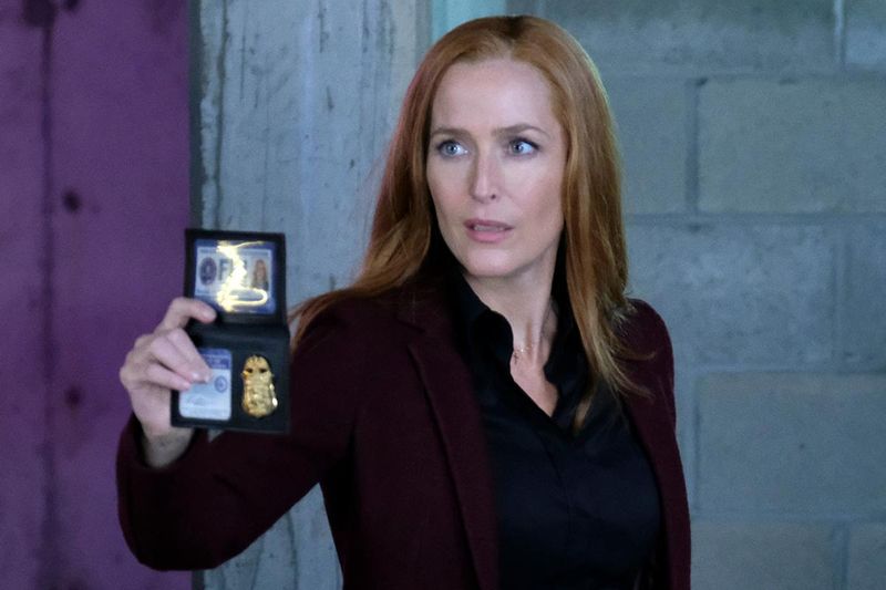 Gillian Anderson (The X-Files)