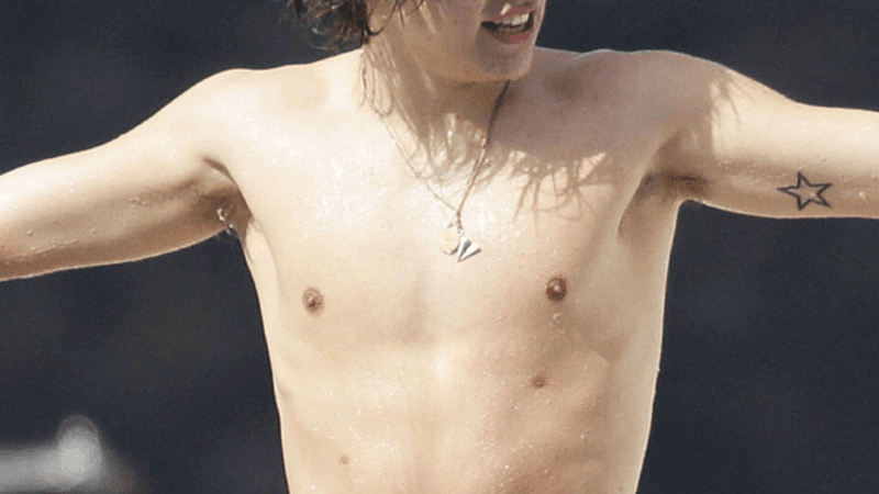 Harry Styles Has Four Nipples