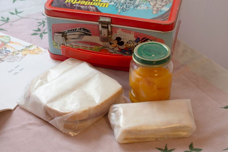 Packing Lunches Without Ice Packs