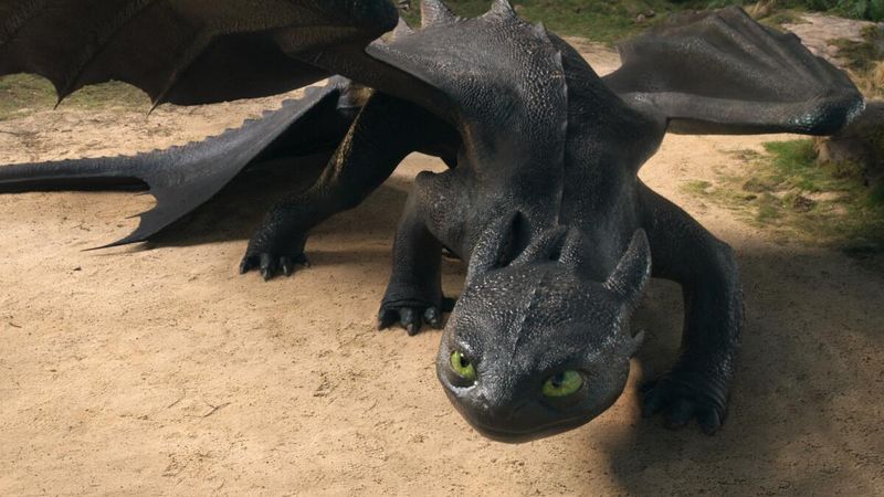 Toothless Was Animated Like a Real Cat