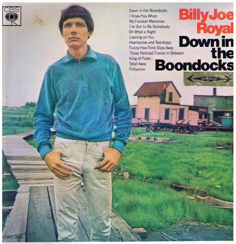 Down in the Boondocks - Billy Joe Royal