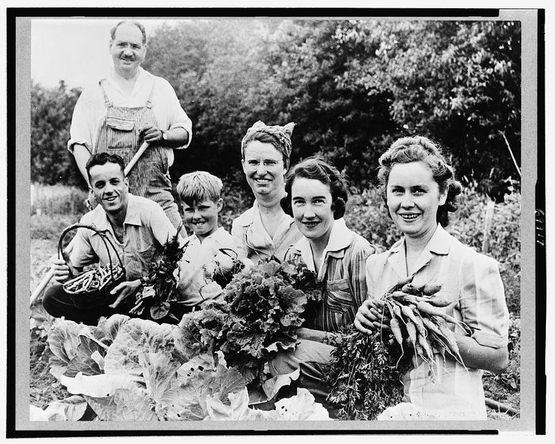 Growing Their Own Food in Victory Gardens