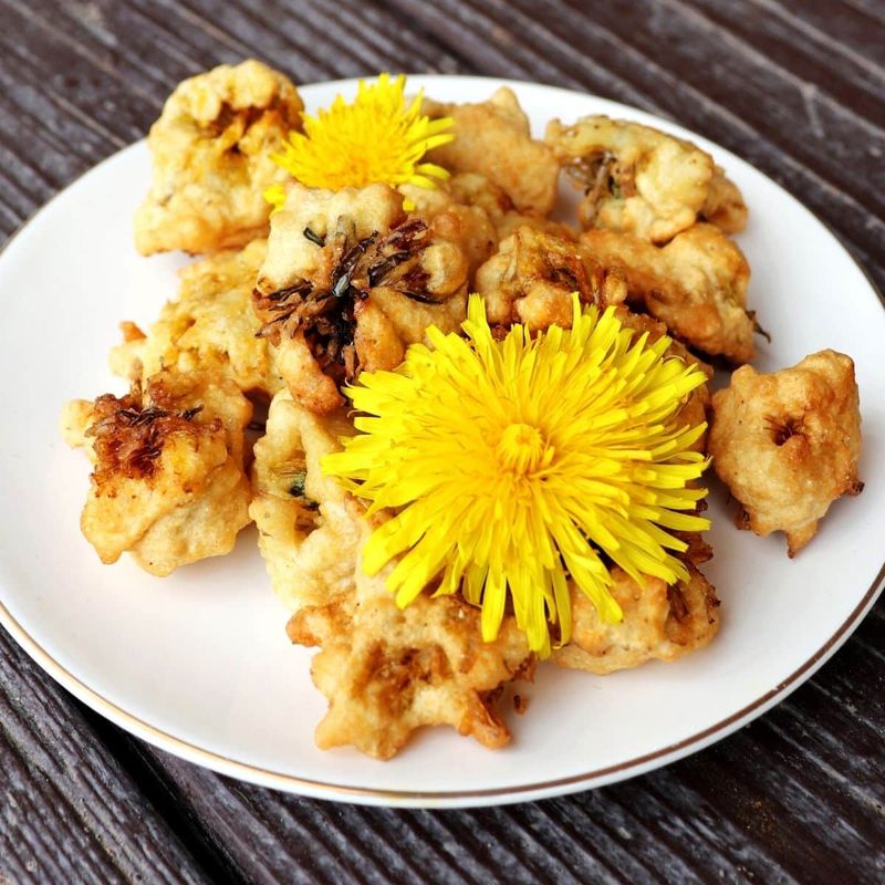 Fried Dandelion Blossoms