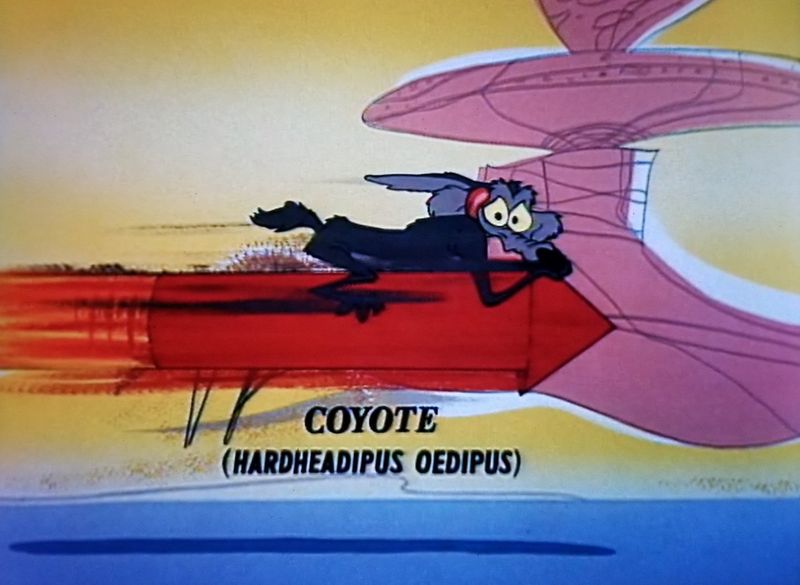 Wile E. Coyote's 