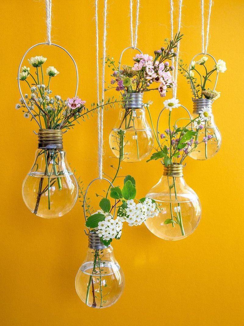 Reuse Everyday Items Creatively