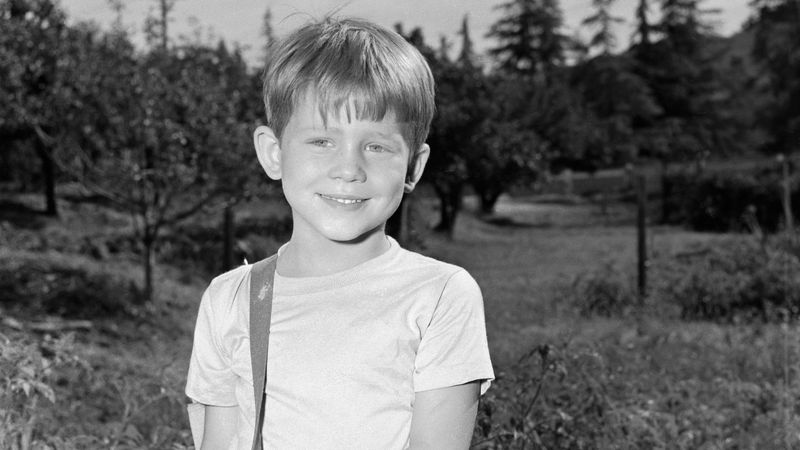 Opie Taylor (The Andy Griffith Show)