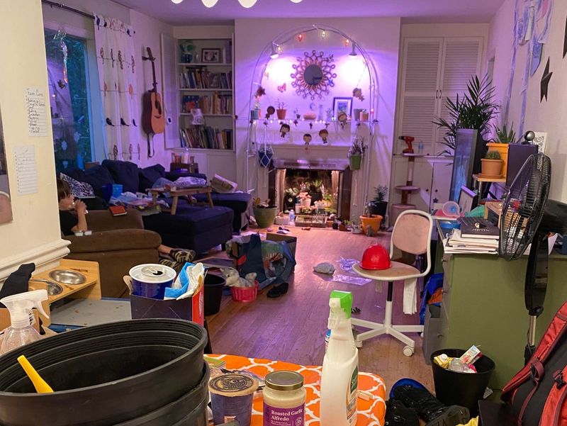 Letting Their Living Space Become Completely Chaotic